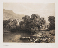 TvB G 4734
<br/>
Landschap (Te Bex, canton de Vaud)
<br/>
<em>Calame, Alexandre (1810 - 1864)</em>